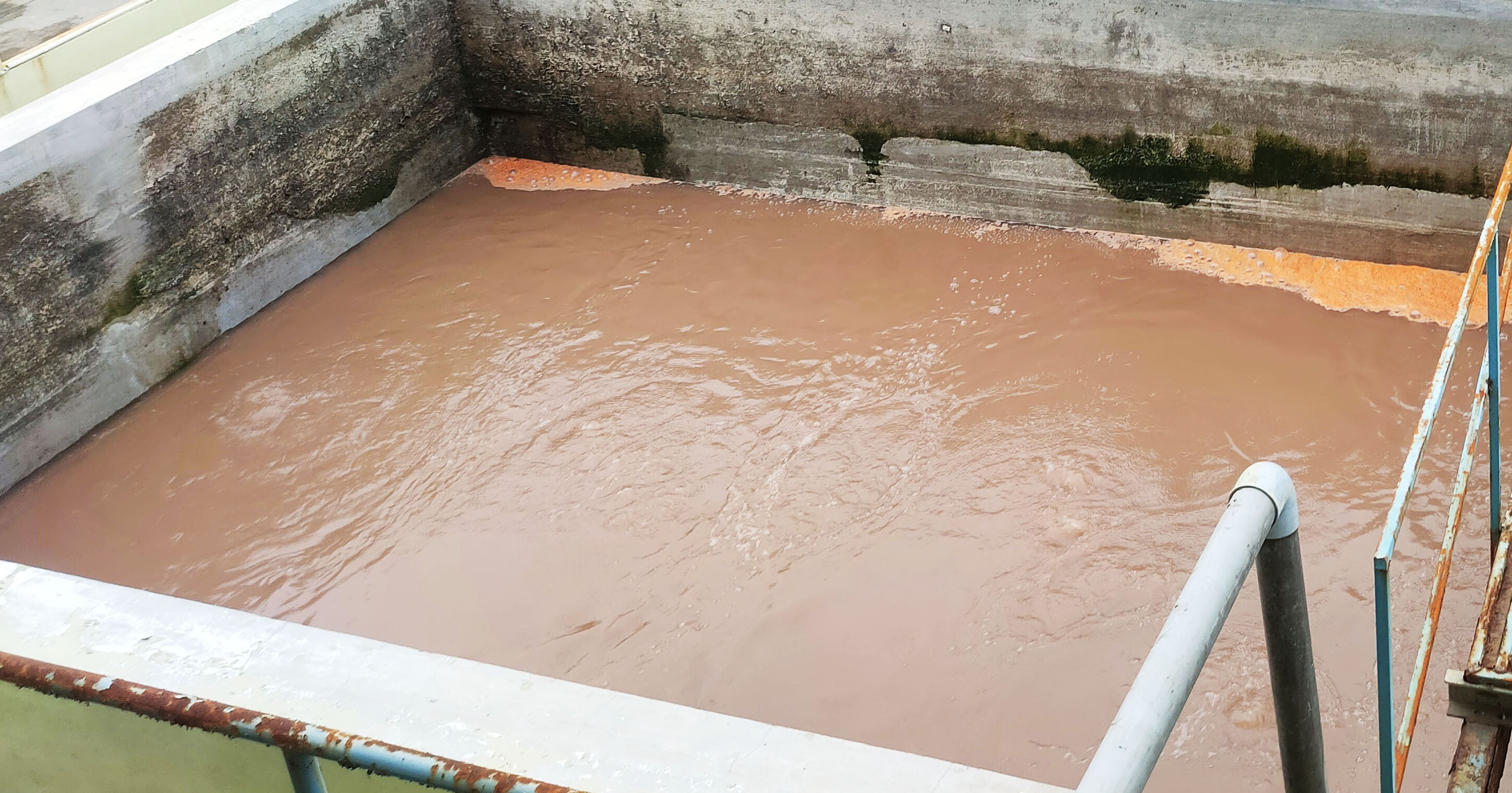 印度安德拉邦 食品加工廠污物泵浦汰舊換新