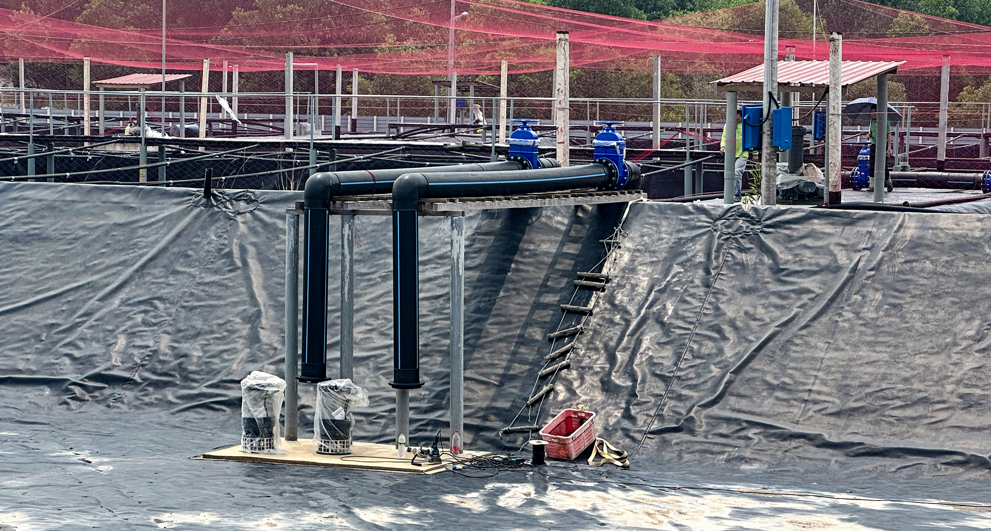 馬來西亞霹靂州 新建蝦場養殖海水供水