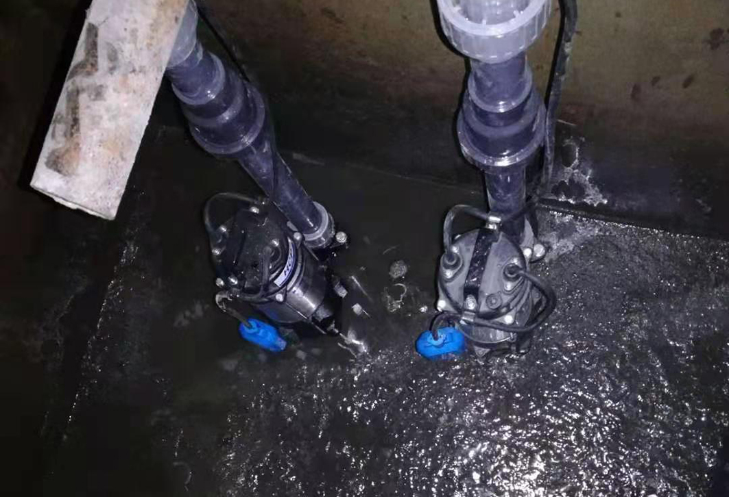 中國江蘇 江陰市中企鉑境別墅區污水提升裝置