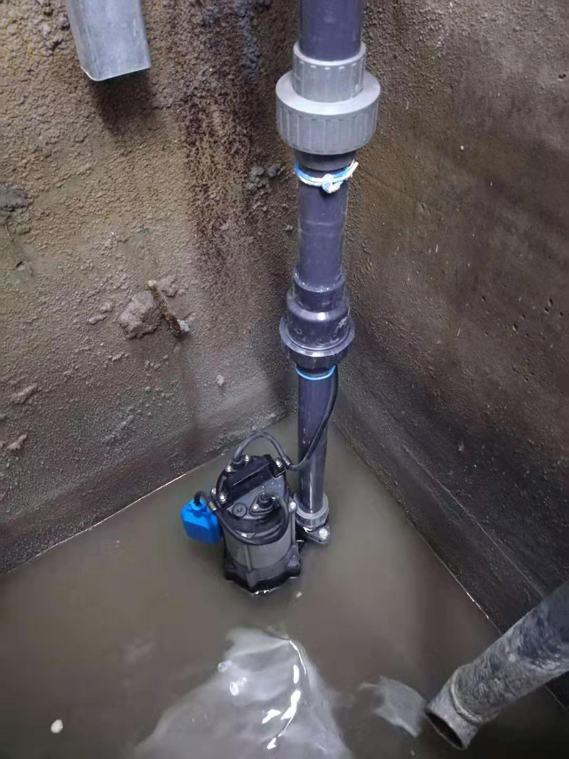 中國江蘇 江陰市中企鉑境別墅區污水提升裝置