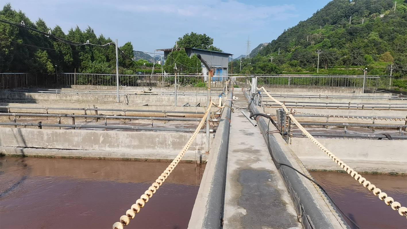 中國浙江 溫州市生豬養殖污水提升設備更換