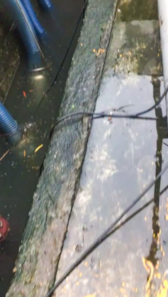 汛期將至，您的排水系統準備好了嗎？